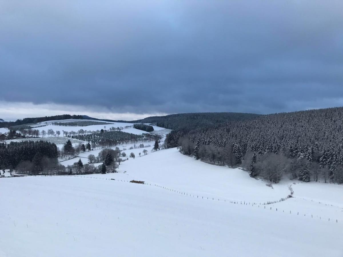 Appartement Familie Willems Winterberg Am Waltenberg ภายนอก รูปภาพ